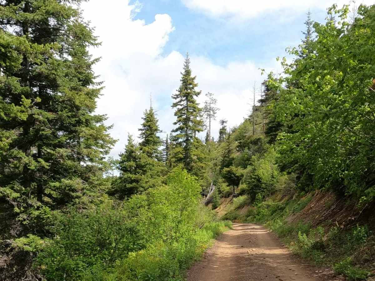 Iron Creek - Blewett Tie - NF9714-113 trail photo
