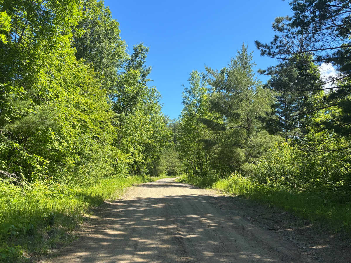 Howard Lake Spur - FS 2803 trail photo