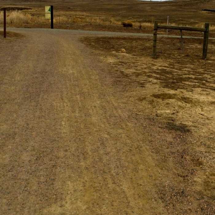 Near Coal Creek Trail