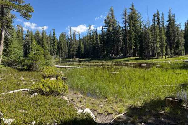 Pond Spur