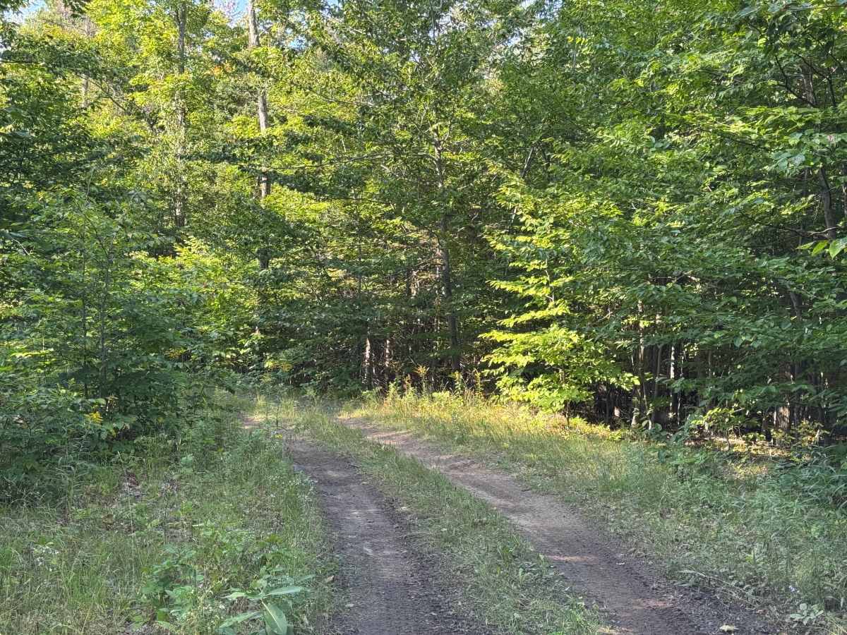 Marl Lake trail photo