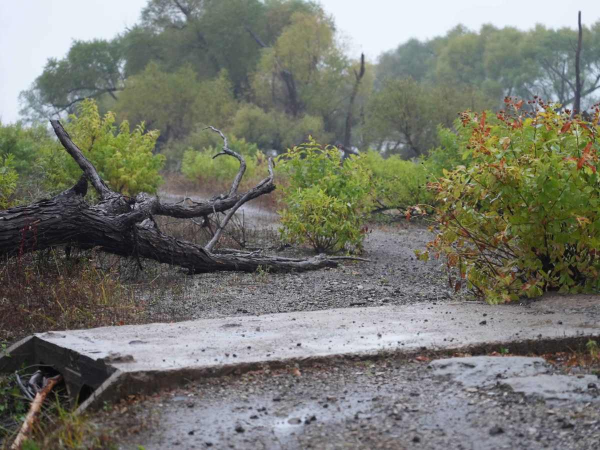 Otter Creek Main Trail photo 5