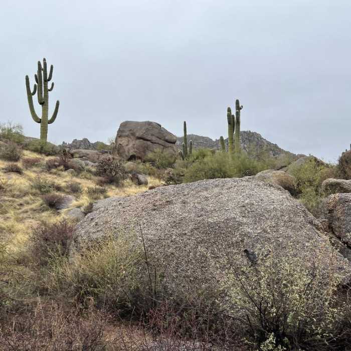 Near Coyote Canyon Loop