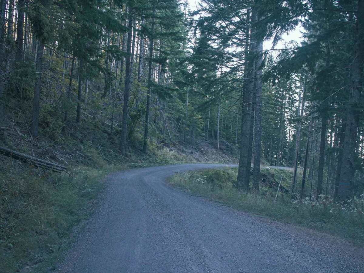 Patterson Mountain photo 4