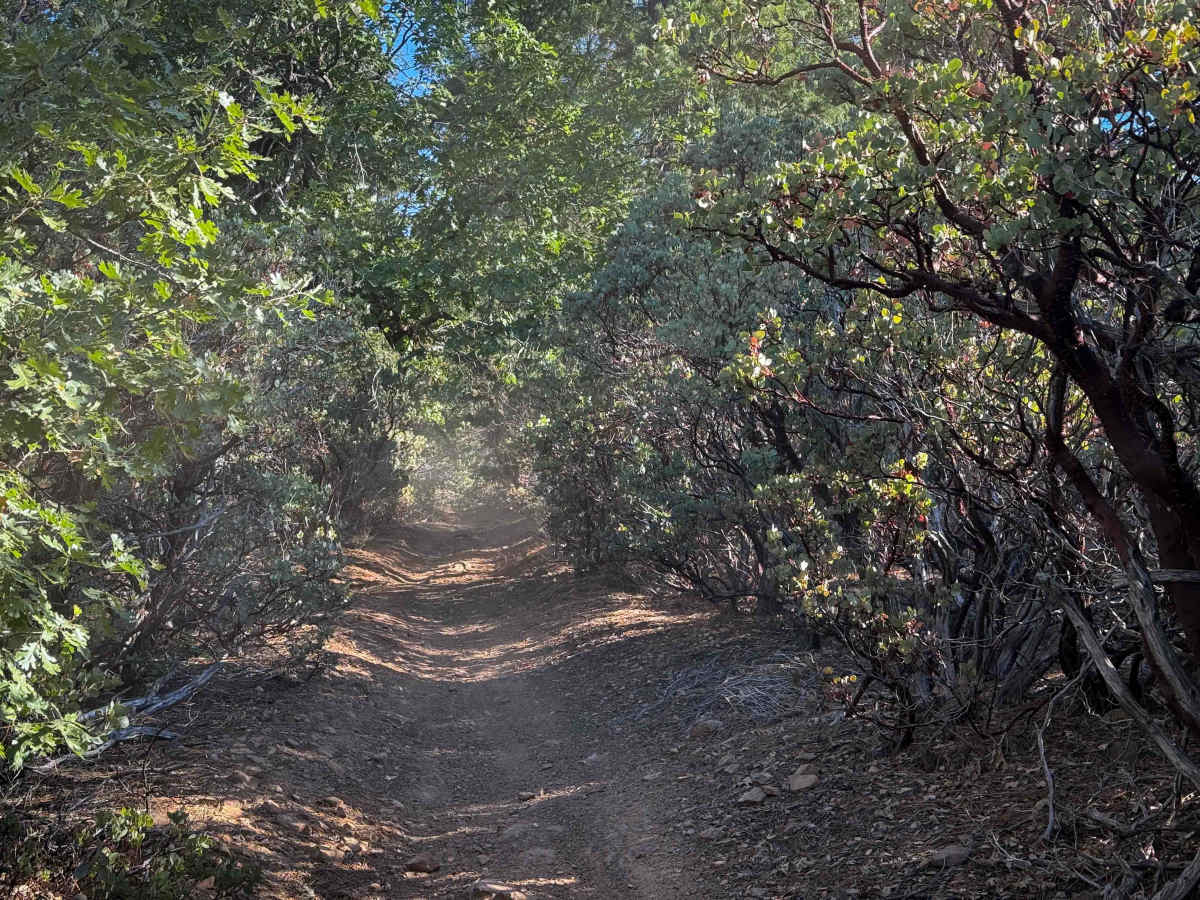 Trail 4-1 (11E35)  photo 5