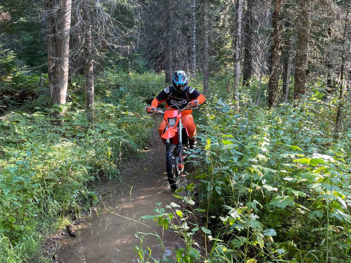 Barney Creek photo 5