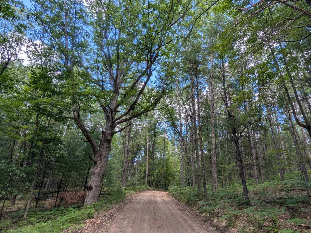 Anderson Road - FS 4984 trail photo