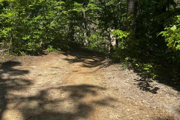 Inner Track 28