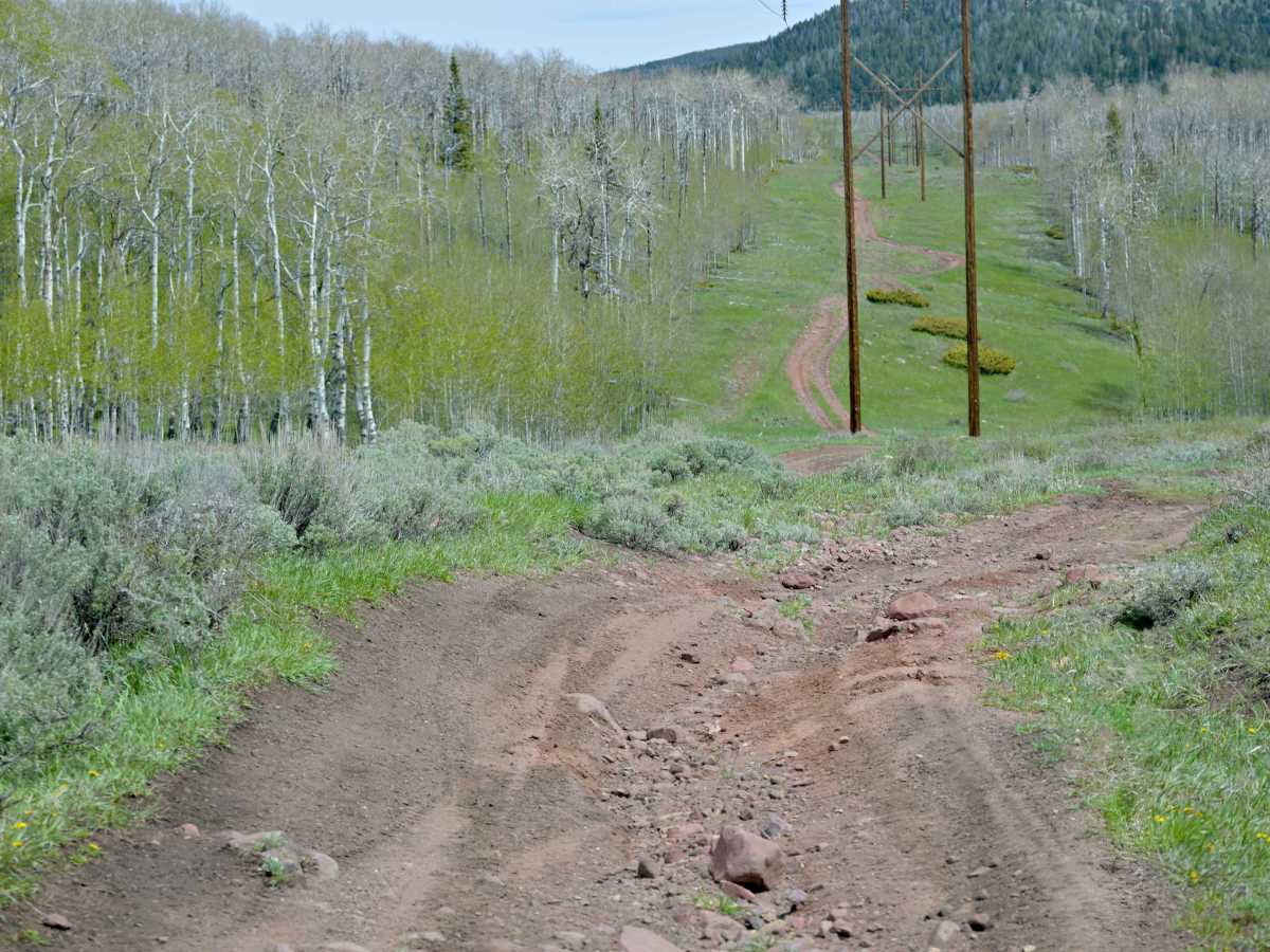 Power Line - FS 10574 photo 6