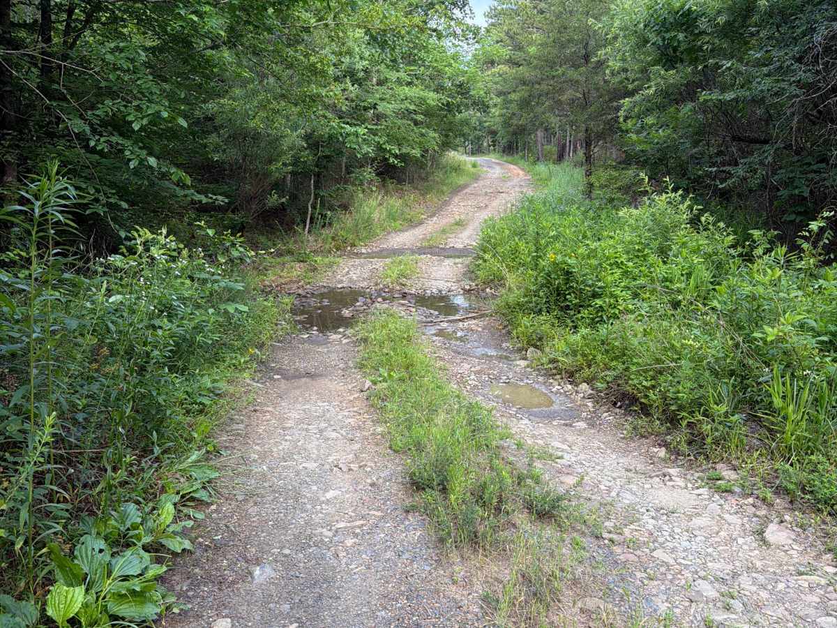 Oakwood Cemetery Road - FS 105 photo 2