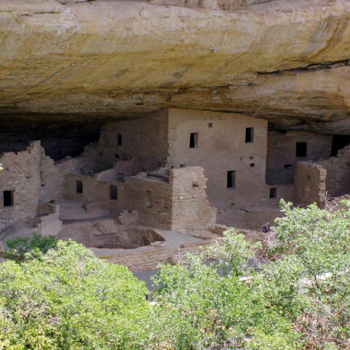 Near Petroglyph Point Trail