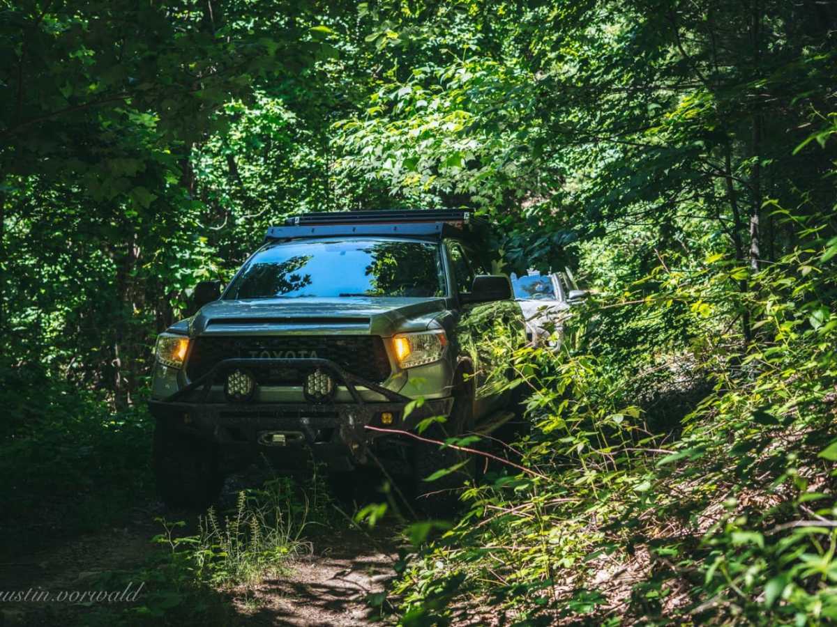 Bush Head Gap Road trail photo