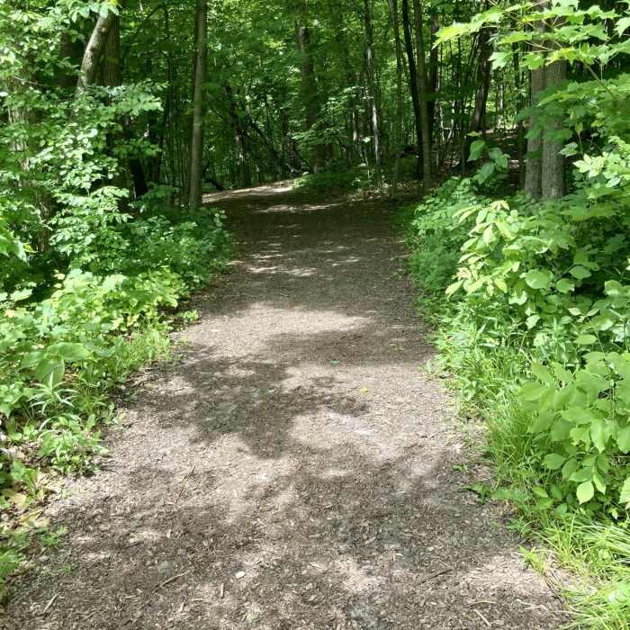 Near Sumac and Meadowlark Loop Near Sumac and Meadowlark Loop