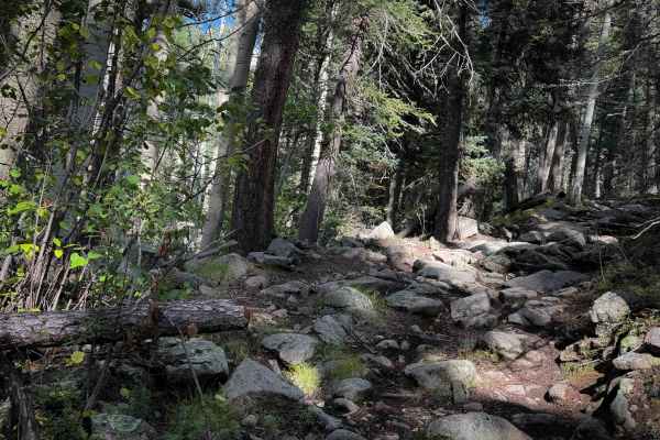 Gallegos Trail - FS 4 