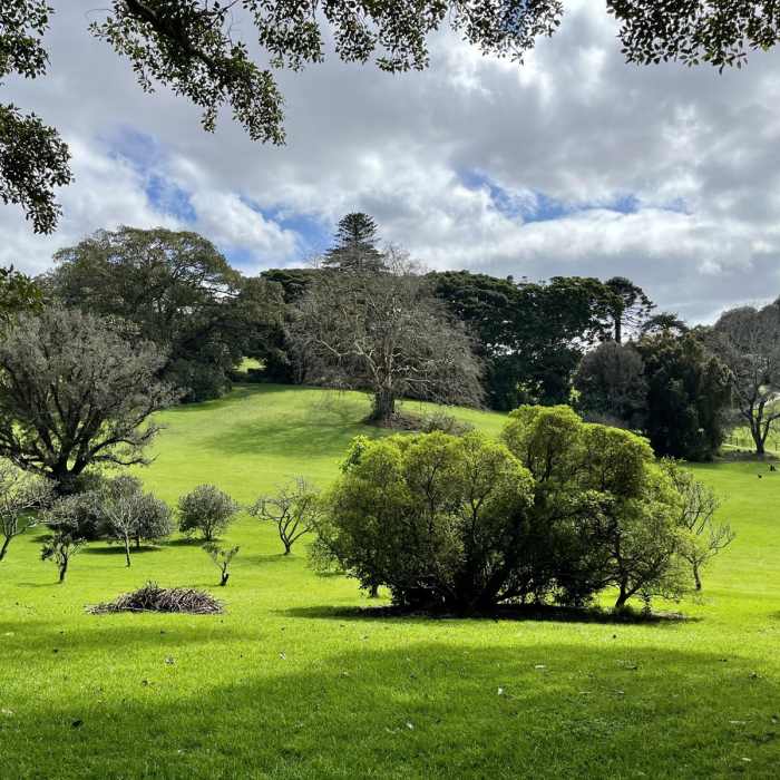 Near Monte Cecilia Loop Near Monte Cecilia Loop