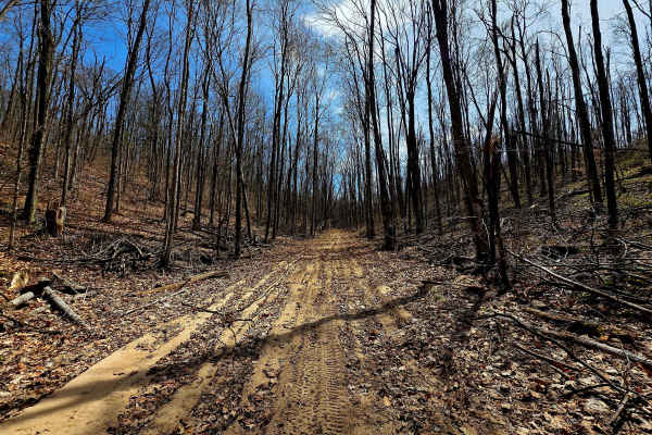 Great Lakes Road