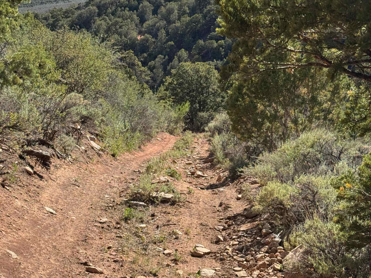 BLM 8480I trail photo