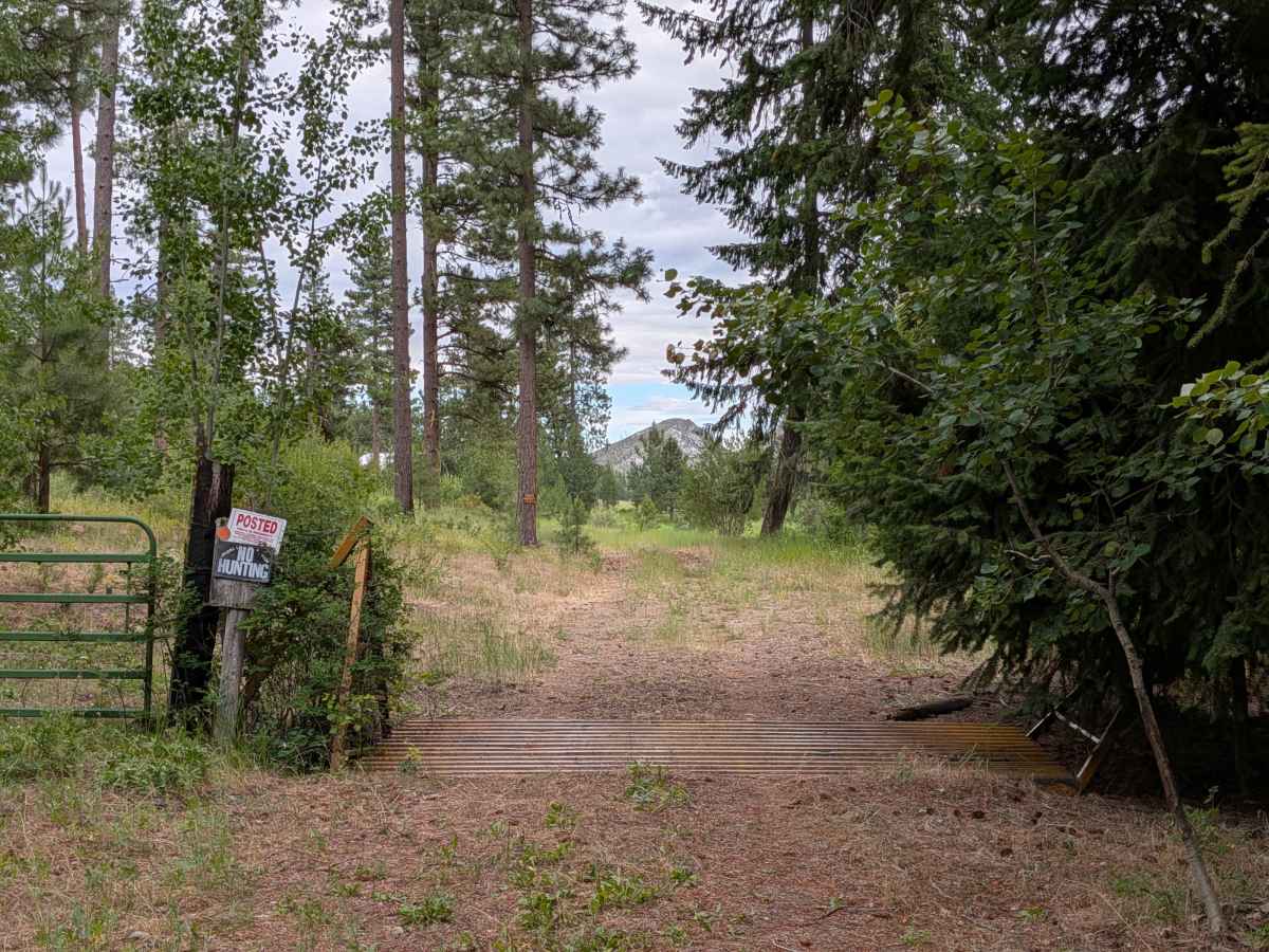 Chiliwist Creek Road photo 2
