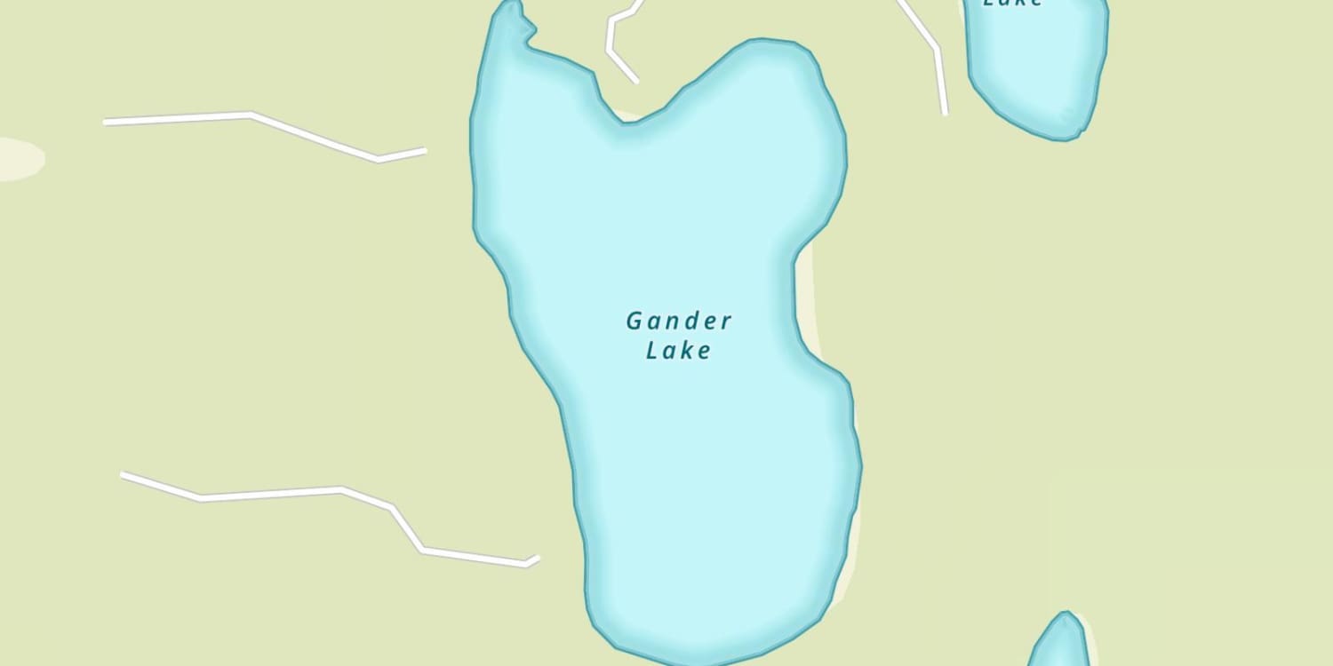 Gander Lake