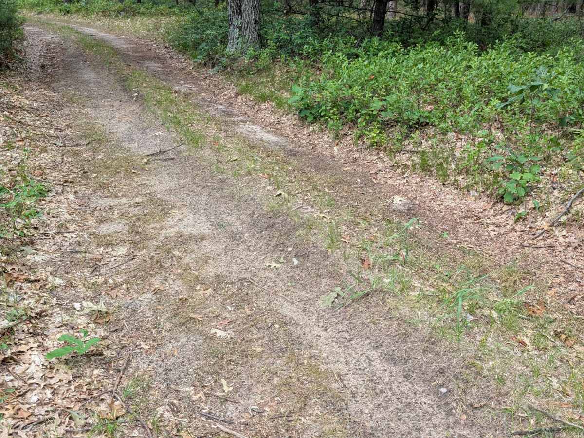 McArdle Road - FS 4432 photo 2