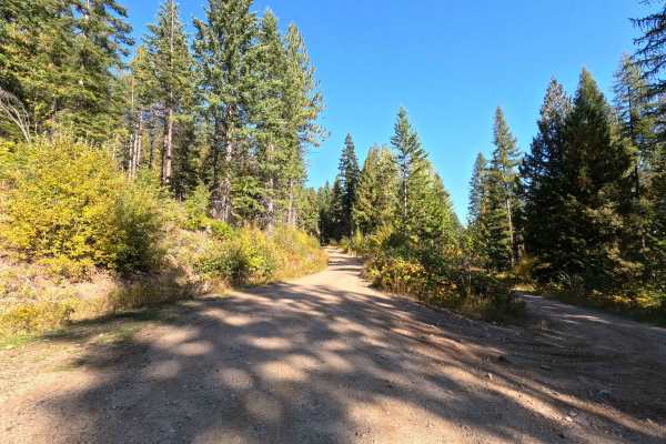 Old Dominion Mountain - FS 9411130