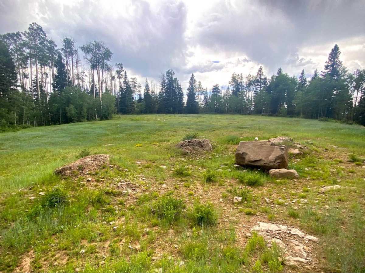Buckles Lake-Fr Rd 663 trail photo
