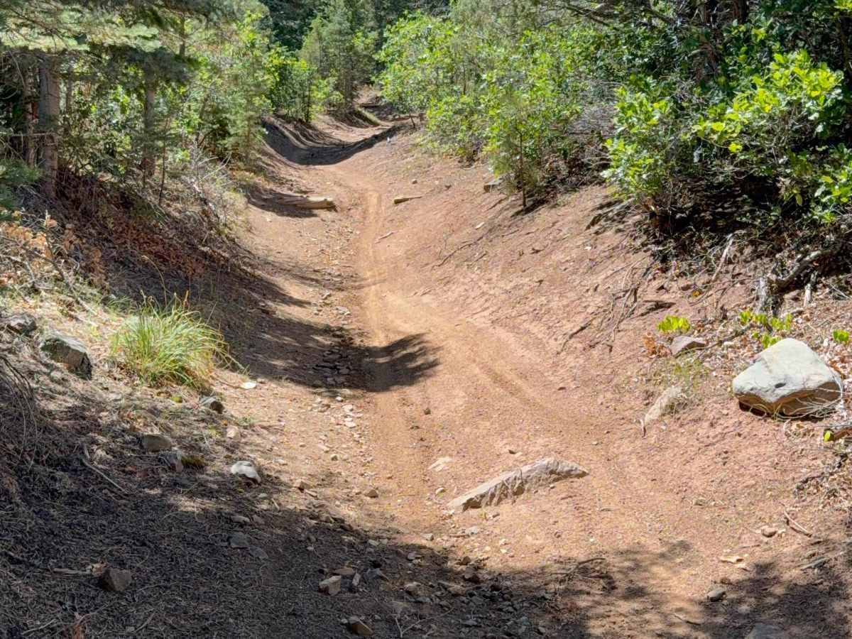 Rainbow Trail photo 2
