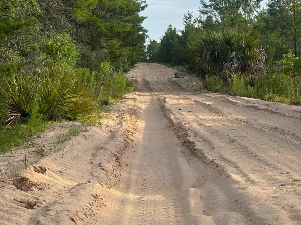Longview Trail photo 3