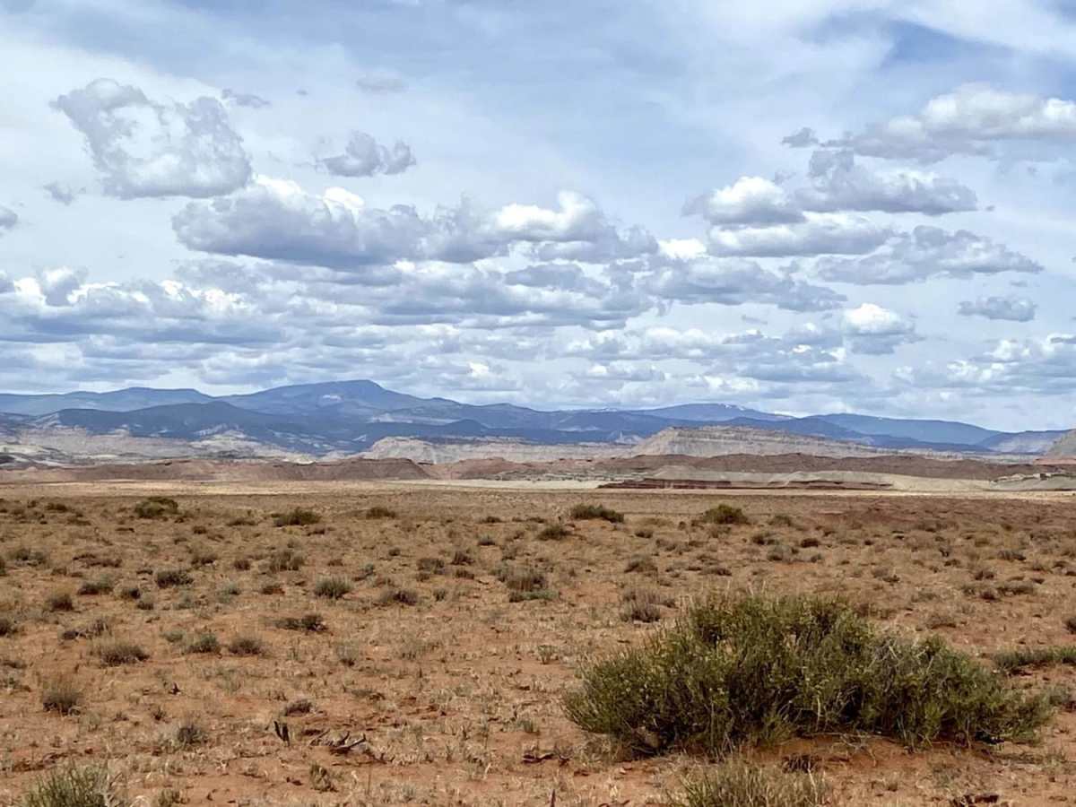 Willow Springs Wash to Lone Tree Crossing photo 6