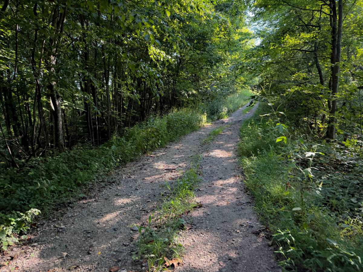 Hunter Access Pond Road  photo 4