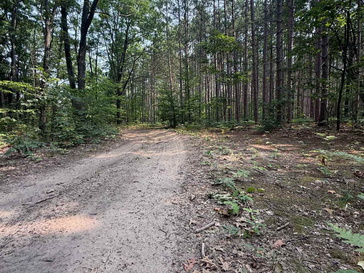 West Buchanan-Pierce Trail photo 5
