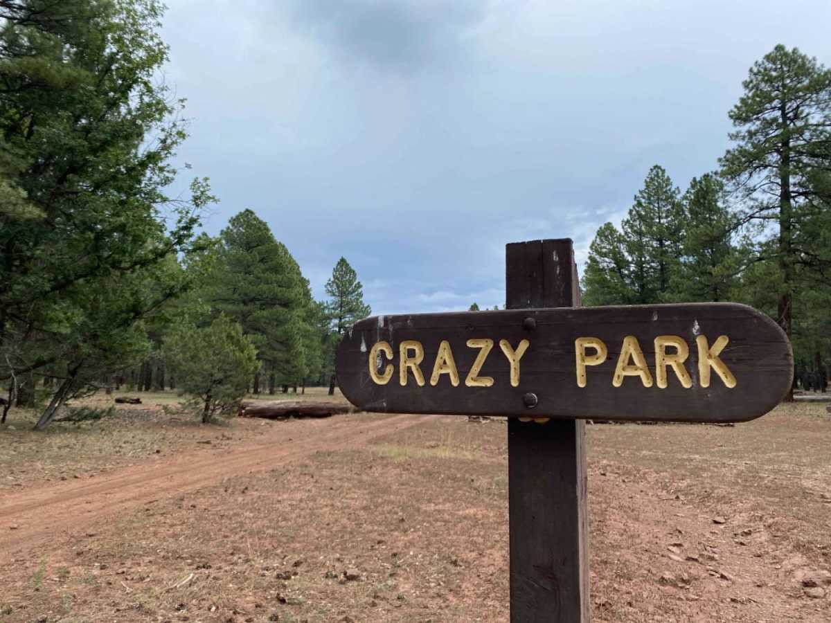 Crazy Park trail photo
