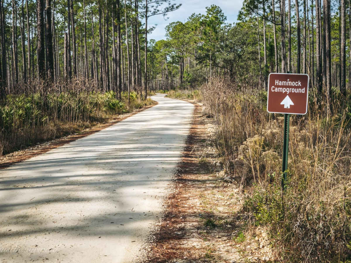 Bell's Cemetery Road - Jennings State Forest photo 2
