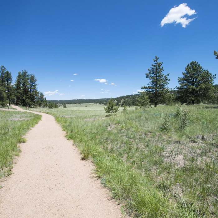 Near Petrified Forest Loop Trail