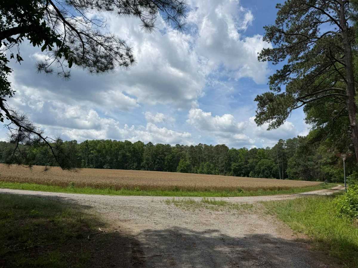 Beaver Pond Road trail photo