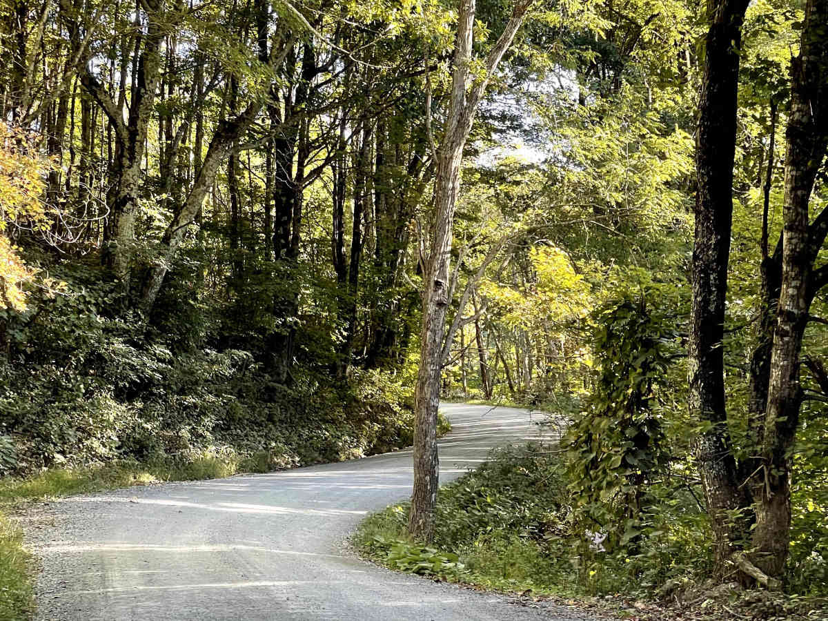 Andy Hicks Road photo 5
