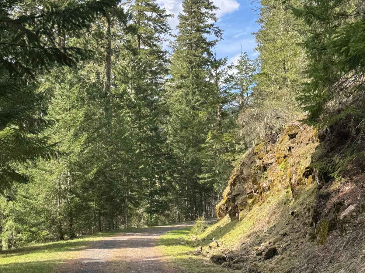 Carlton Road- FS 4400017 trail photo