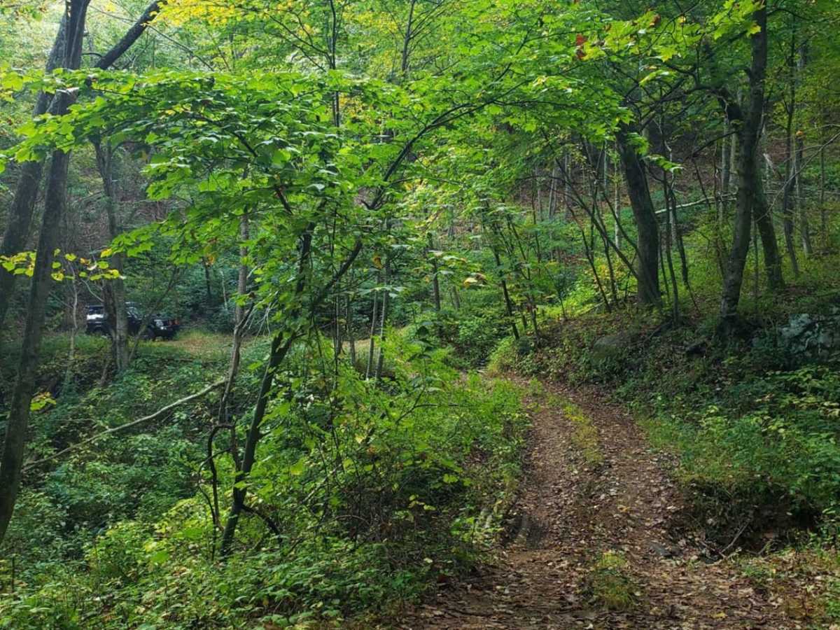 Coon Bridge photo 5