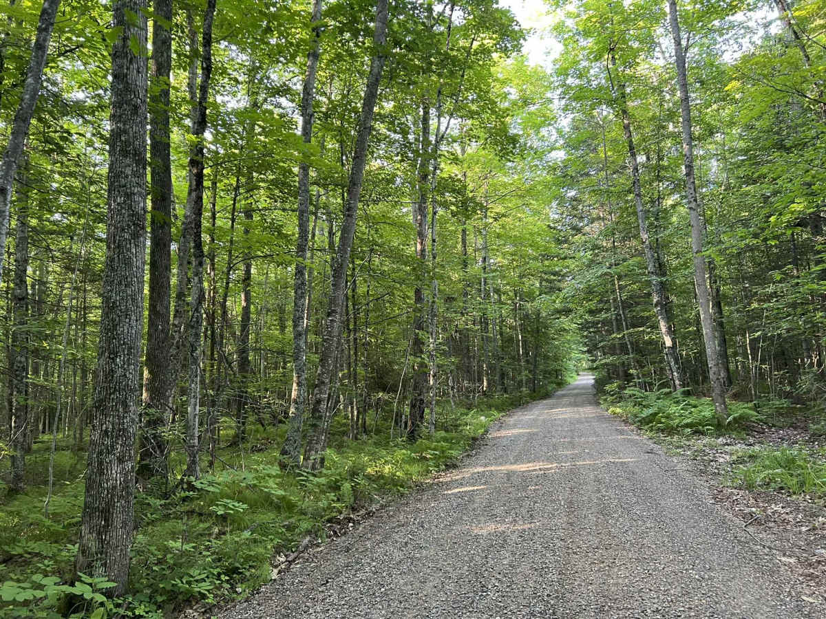 Fireside Market and Station Access Trail photo 2