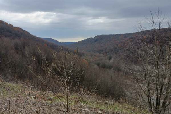 Outer Loop West - Rock Run Recreation Area