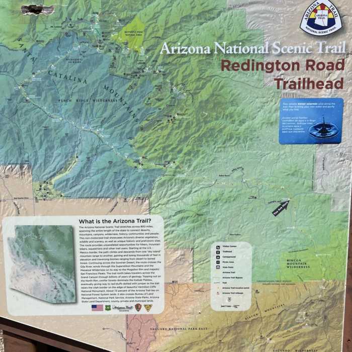 Near Bellota Trail #15