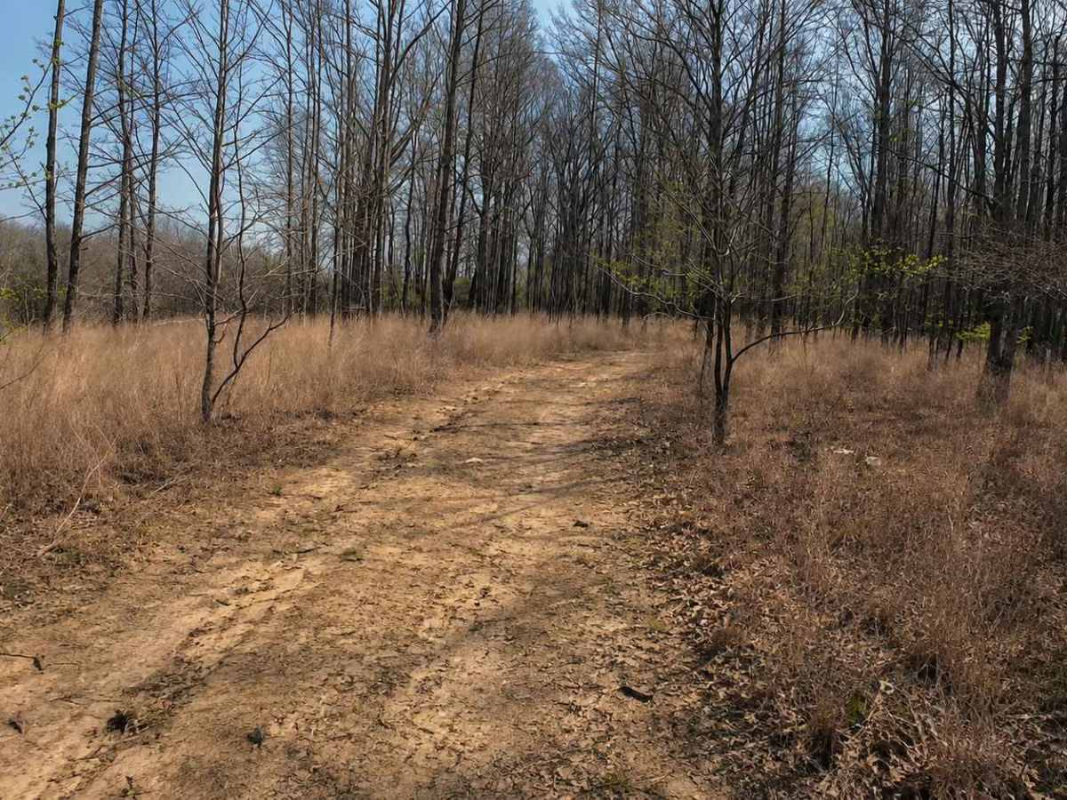 Ark Island Trail trail photo