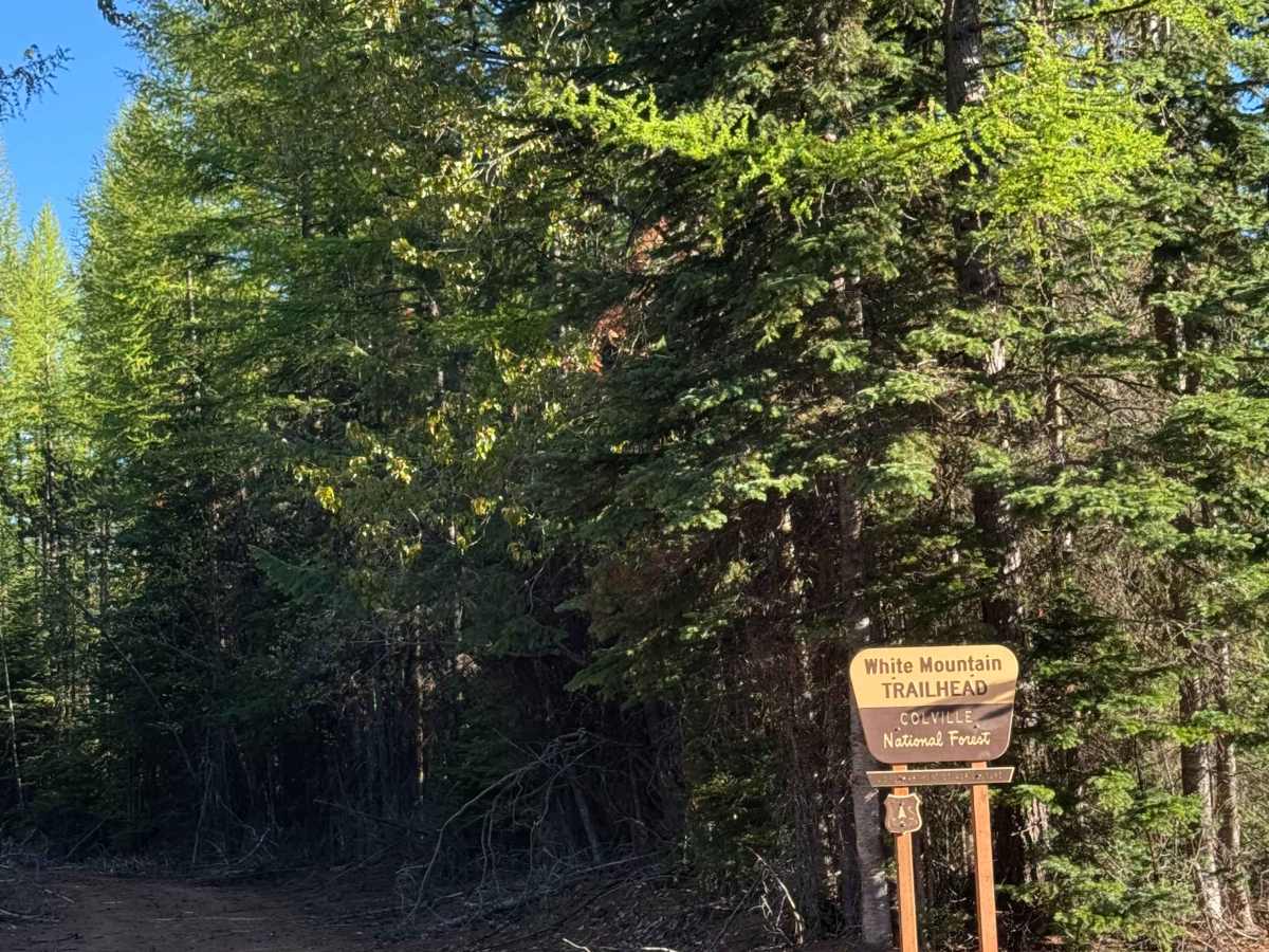 White Mountain Trail photo 6