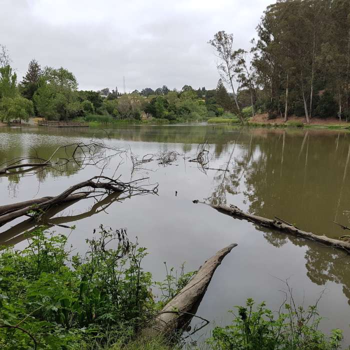 Near Don Castro - Five Canyon Loop