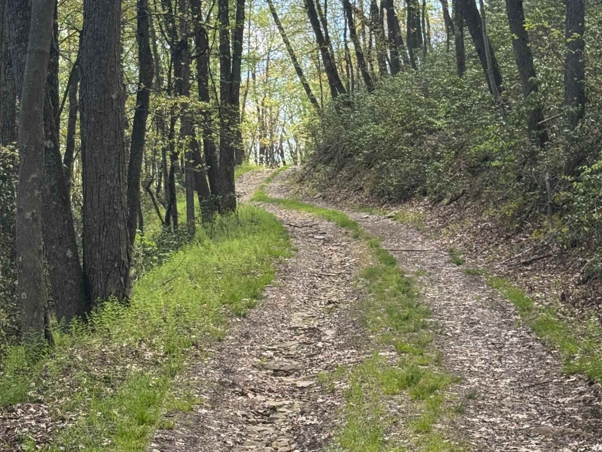 Fisher Road photo 6
