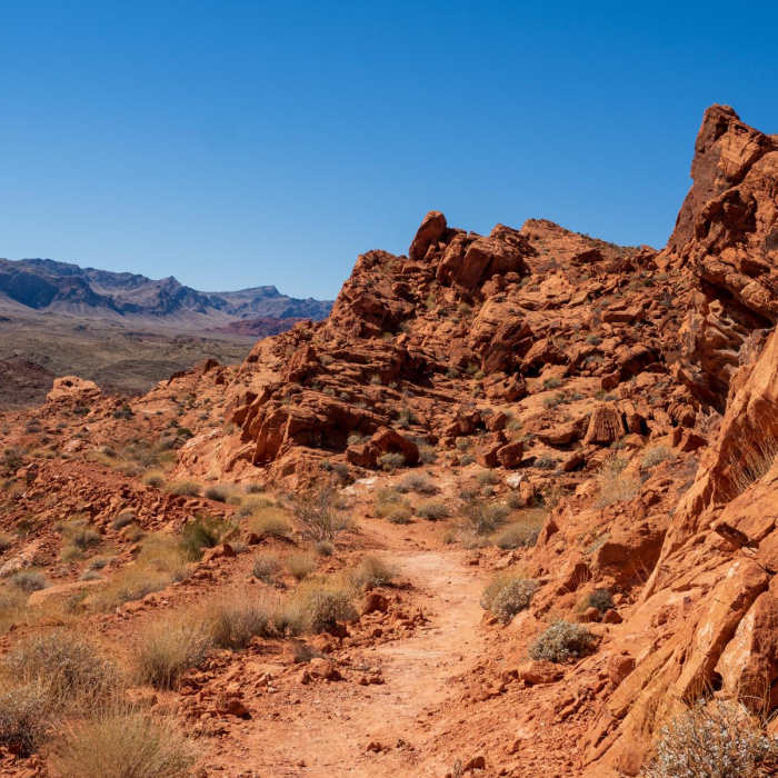 Near Elephant Rock Loop