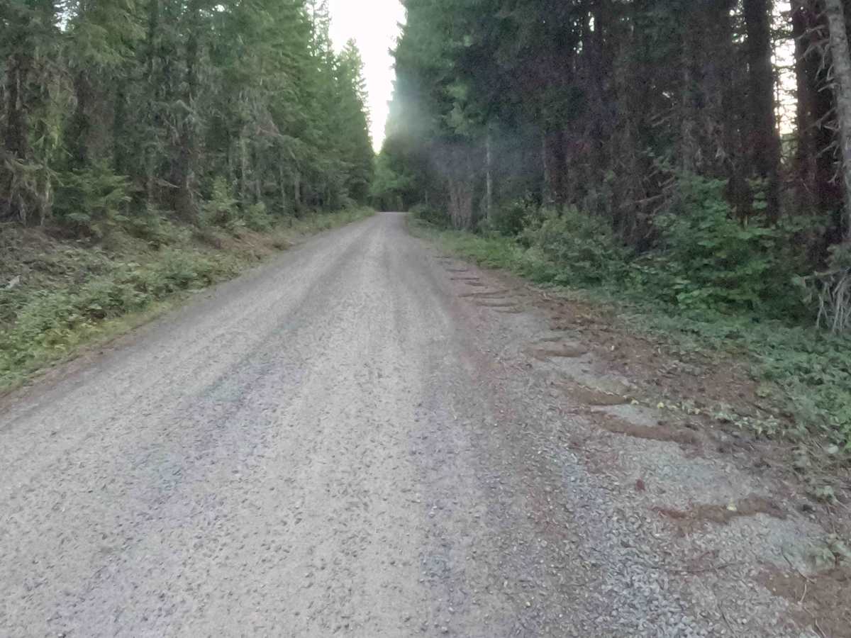 Parks Creek Road - FS 2067560  photo 5