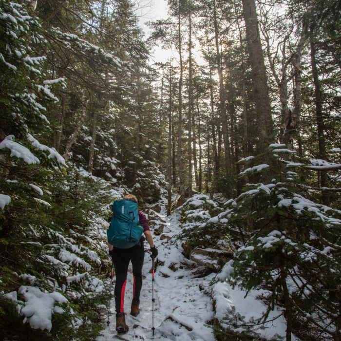 Near Mount Cabot to Unknown Pond Loop Near Mount Cabot to Unknown Pond Loop