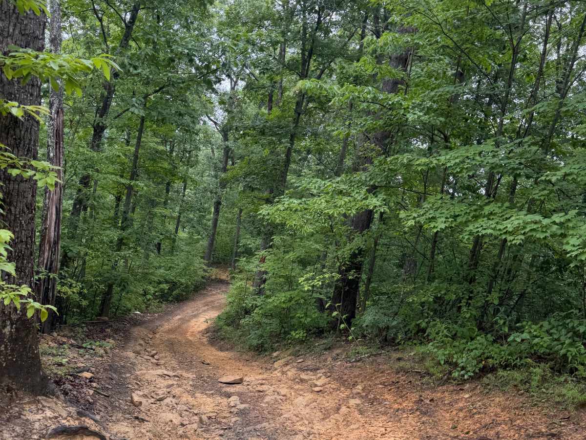 16 trail photo
