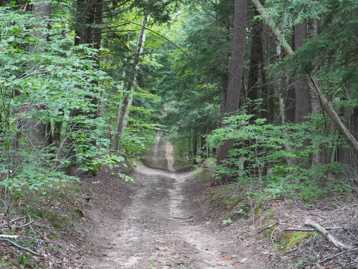 Hemlock Lake Trail photo 2
